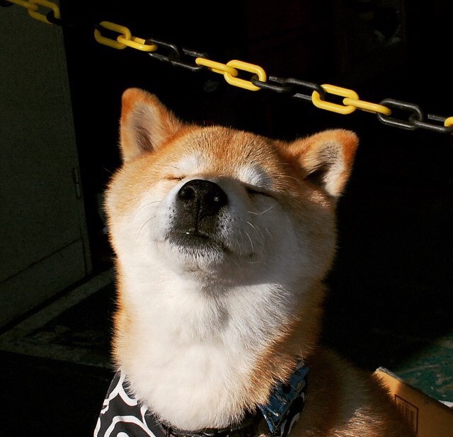 球员个人表现成为赛后焦点，球员个人信息表模板